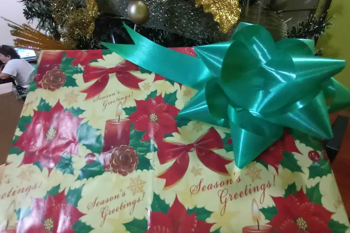 A wrapped Christmas gift with a green bow under the tree